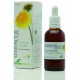 DIENTE DE LEON EXTRACTO 50ML SORIA NATURAL