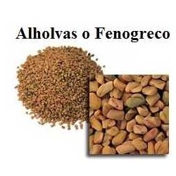 ALHOLVAS - FENOGRECO 100GR