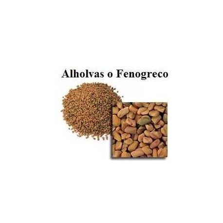 ALHOLVAS - FENOGRECO 100GR