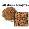 Alholvas ó Fenogreco