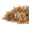 ÁRNICA FLOR 25GR
