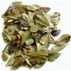 Te gayuba infusion comprar precio herbolariomalvarosa.com