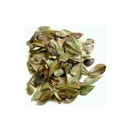 Te gayuba infusion comprar precio herbolariomalvarosa.com