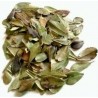 Te gayuba infusion comprar precio herbolariomalvarosa.com