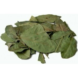 Te hojas de laurel secas infusion comprar precio herbolariomalvarosa.com Laurel seco