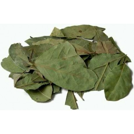 Te hojas de laurel secas infusion comprar precio herbolariomalvarosa.com Laurel seco
