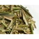 Te olivo hojas secas infusion comprar precio herbolariomalvarosa.com