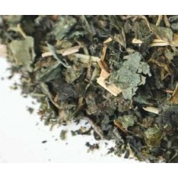 Te ortiga verde infusion comprar precio herbolariomalvarosa.com