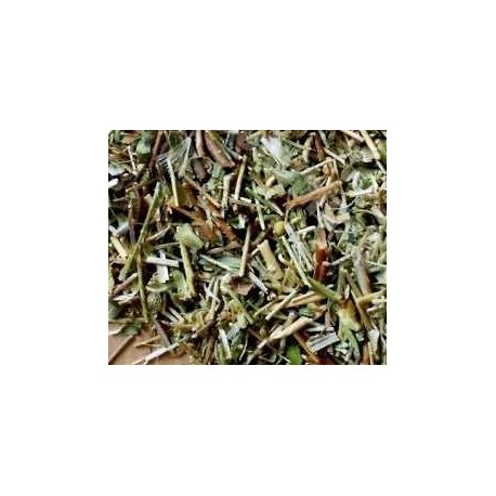 Te de roca te de aragon infusion comprar precio herbolariomalvarosa.com