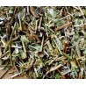 Te de roca te de aragon infusion comprar precio herbolariomalvarosa.com
