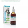 COMPOSOR 21 FUCUS COMPLEX 50ML SORIA NATURAL