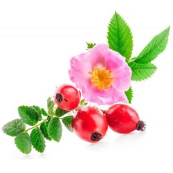 Aceite rosa mosqueta chile autentico puro comprar precio herbolariomalvarosa.com esential aroms