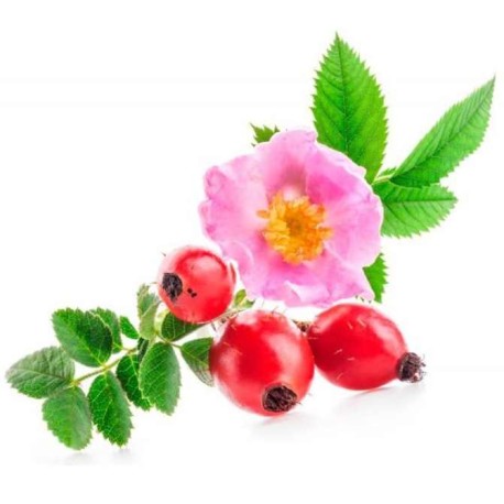 Aceite rosa mosqueta chile autentico puro comprar precio herbolariomalvarosa.com esential aroms