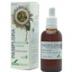 PASIFLORA EXTRACTO 50ML SORIA NATURAL