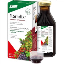 FLORADIX HIERRO JARABE SALUS