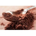 Cacao Puro Bio